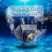 Camera marsarier/frontala AHD/CVBS unghi 170 grade cu StarLight Night Vision - G3A899